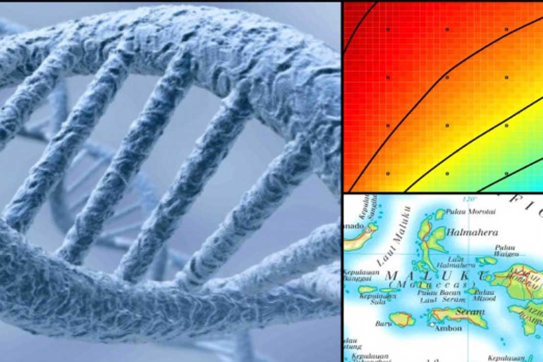 Cousin marriage puts gene pool at risk Massey University
